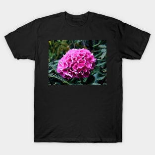 Deep Pink Summer Hydrangea Photo with Digital Effects T-Shirt